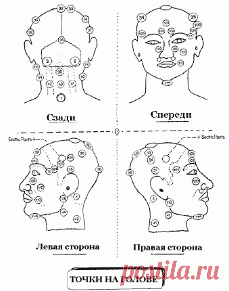 хиджама атлас точек | Записи с меткой хиджама атлас точек | Дневник dmitriyst