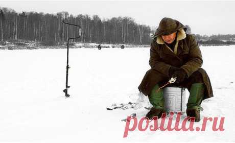 Как ещё привлечь зимнего окуня с дальнего расстояния: уловистая зимняя снасть | Страсти по рыбалке | Яндекс Дзен