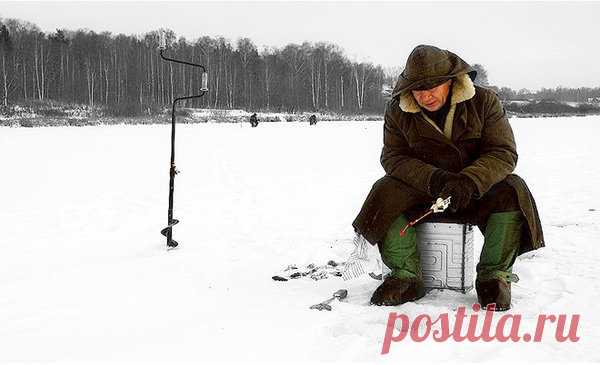 Как ещё привлечь зимнего окуня с дальнего расстояния: уловистая зимняя снасть | Страсти по рыбалке | Яндекс Дзен