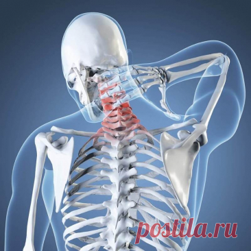 Почему тянет шею? Объясняем Шея включает в себя позвоночник с нервными каналами, лимфатические соединения и мышечную ткань. Поэтому дискомфорт и болезненность в шее может вызываться самыми разными причинами. Разберемся по порядку.