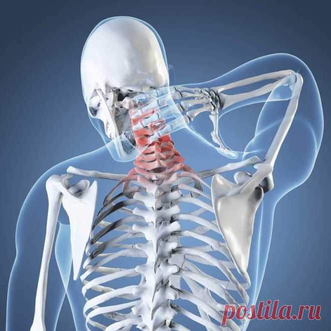 Почему тянет шею? Объясняем Шея включает в себя позвоночник с нервными каналами, лимфатические соединения и мышечную ткань. Поэтому дискомфорт и болезненность в шее может вызываться самыми разными причинами. Разберемся по порядку.