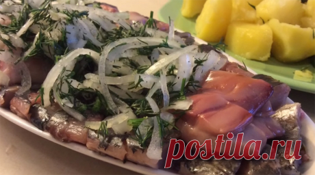 Сельдь пряного посола в домашних условиях - 3 очень вкусных и проверенных рецепта