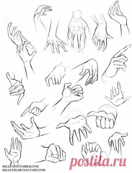 Hands reference by Sellenin on DeviantArt
