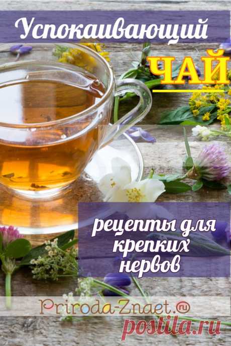 Пошаливают нервы и не можете заснуть? Не спешите в аптеку за новомодными таблетками. Лучше попробуйте успокаивающий чай из трав — ромашковый, липовый или мятный. Вкусно и очень полезно. #успокаивающий #чай #ромашка #липа #мята #народные #рецепты #priroda_znaet