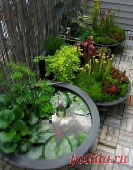 19+ Gorgeous Backyard Ponds Water Garden Landscaping Ideas - lmolnar