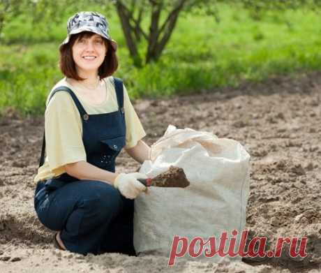 Накормите почву! Как сделать землю на даче плодороднее?