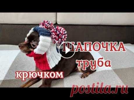 Шапочка труба, вязание крючком, hat for dogs, crochet diy

юбка спицами для девочки 2