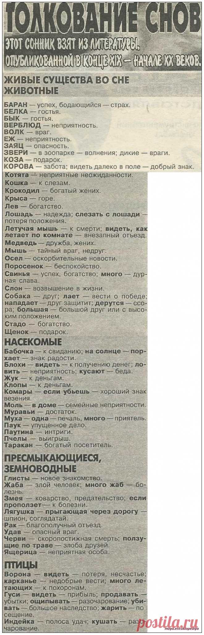 Если снятся живые существа