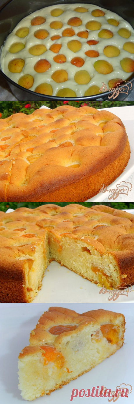 Бисквитный пирог с медом и абрикосами