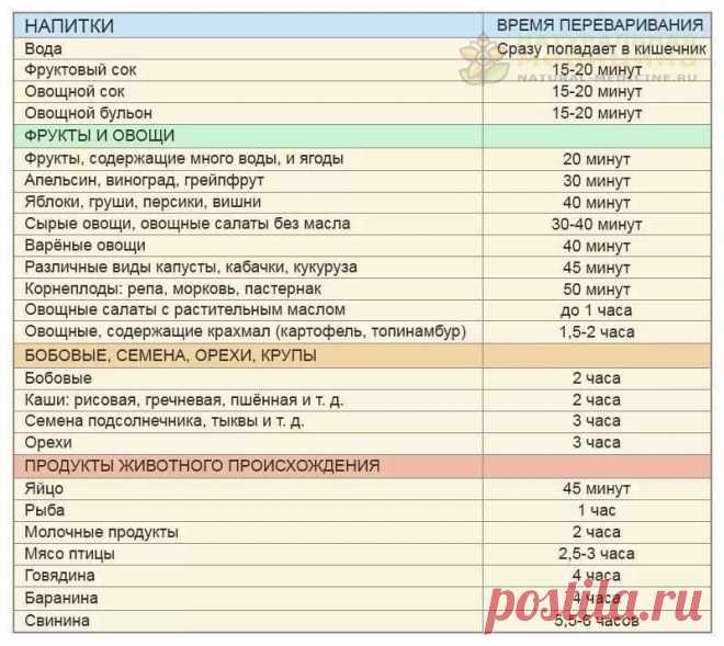 Сколько времени переваривается в желудке