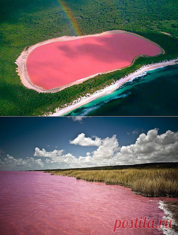 В мире идей - Розовое озеро Хильер Австралия