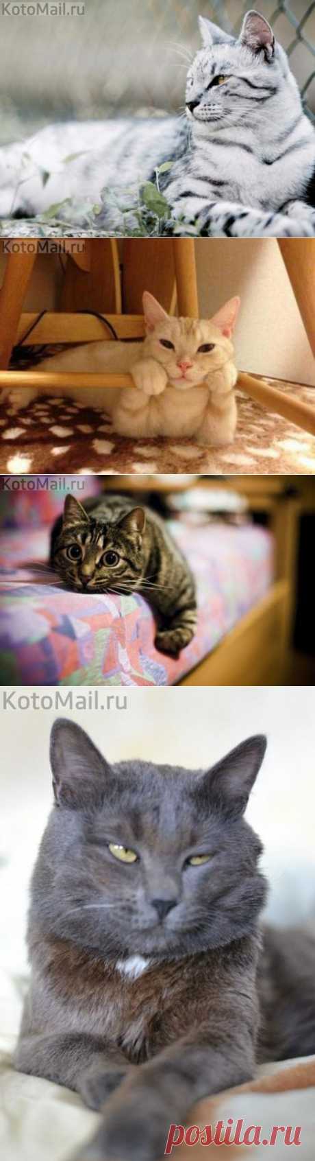 В эмоциях...