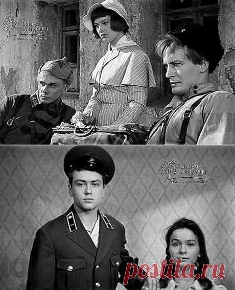 (7) Одноклассники