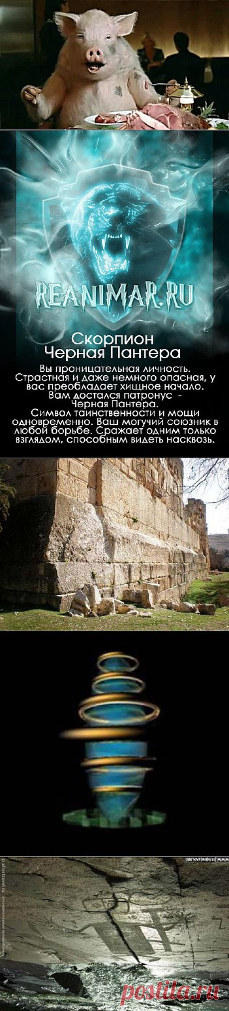 В мире позитива.Интересное.Юмор. | Записи в рубрике В мире позитива.Интересное.Юмор. | Дневник Сахарина