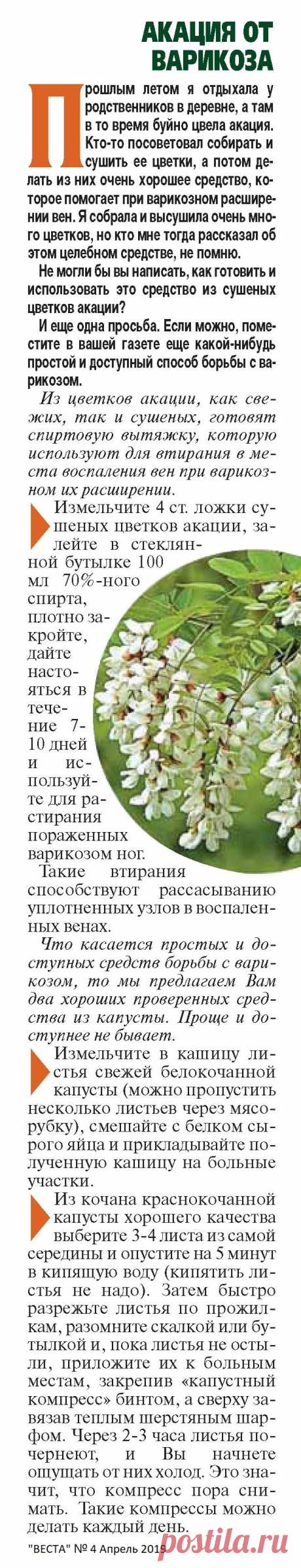 Акация и капуста от варикоза