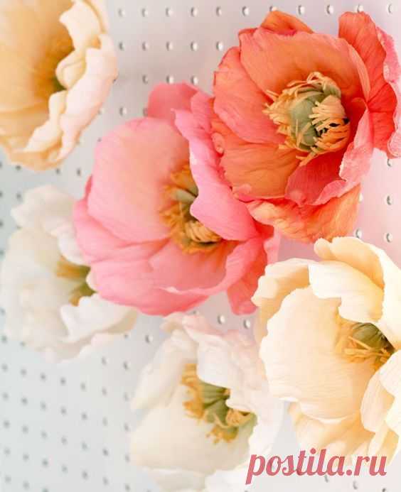 Цветы из гофрированной бумаги своими руками: 20 мастер-классов от профессиональных флористов, всё про материалы и сборку цветов | Крестик