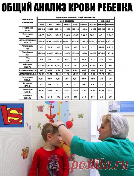 (1) Одноклассники