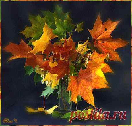 Букет осенних листьев - Осенние открытки