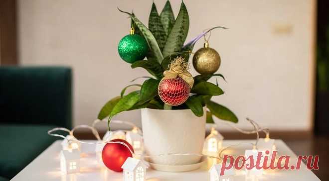 6 красивых способов включить комнатные растения в новогодний декор Украсить игрушками, поставить на поднос, обмотать гирляндами — рассказываем, что делать с домашними растениями перед Новым годом.
