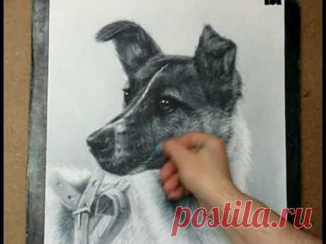 Laika Space Dog drawing - YouTube