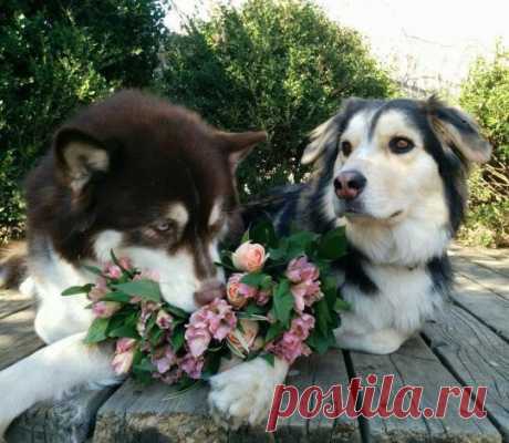 Обнимашки