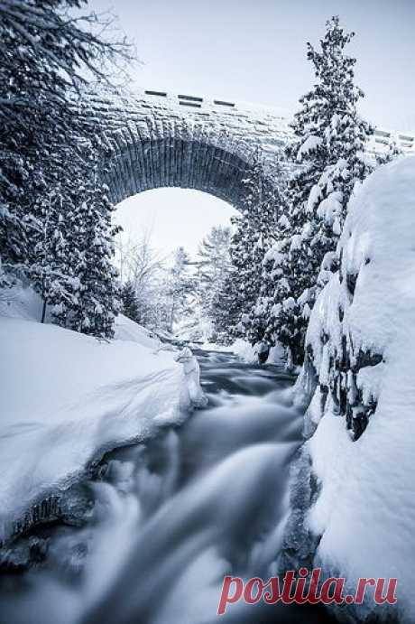 Duck Brook Cyanopowder - Acadia National Park, Maine...taking a drive .. How many times did we drive around the park... - от пользователя Nate Parker Photography  | Linda Sherrin приколол(а) это к доске M ~ Maine In ME &quot;Home&quot; Family .…