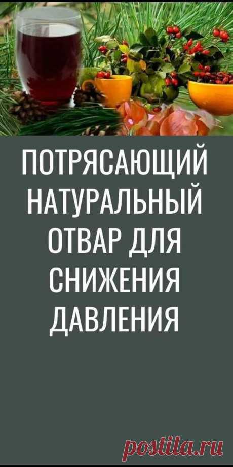 потрясающий натуральный отвар для снижения давления рельефные салфетки объемные прямоугольные кокетка сверху круглая для 3 лет 5 детей до мальчиков от 0 девочкам на 10 жилет квадратные овальные жилетка девочке необычные необычной детский мальчика большие жилеты большого размера мужские жилета красивые носки длинный с узором вязаный основе прямоугольника вяжем удлиненный косы пуговице новогодние 2 пончо