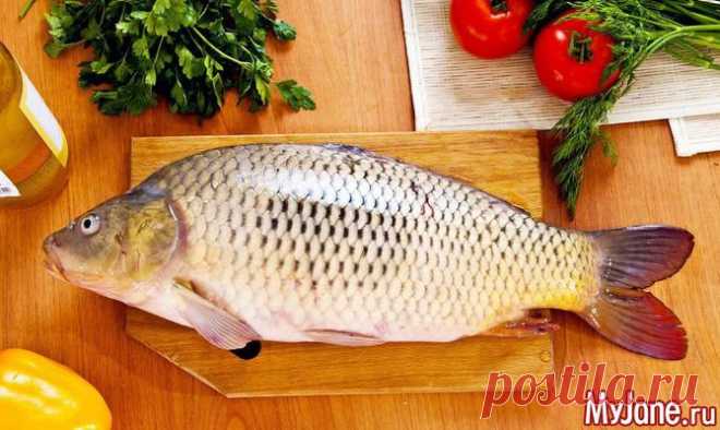 Готовим фаршированную рыбу - фаршированная рыба, еврейская кухня, гефилте-фиш, рецепт