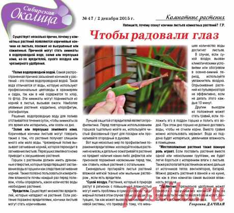 Почему сохнут кончики листьев комнатных растений