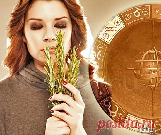 Ароматы соблазна / Все для женщины