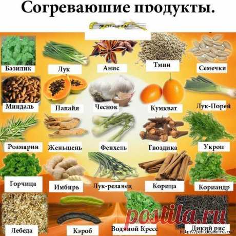 Согревающие и охлаждающие продукты.