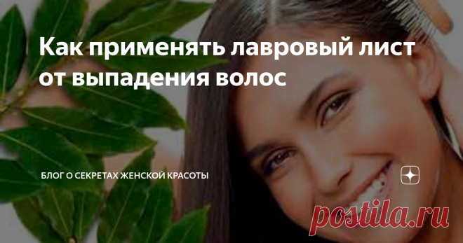 Лавровый лист для волос от выпадения. Лавровый лист для волос для роста. Маска для волос из лаврового листа. Лавровый лист от перхоти