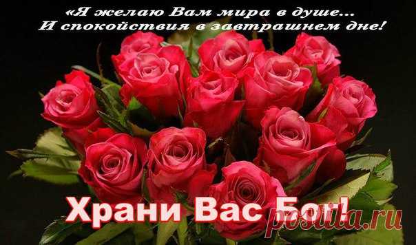 Новости