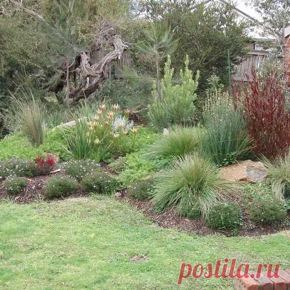 hipages.com.au is a renovation resource and online community with thousands of home and garden photos | Gardening