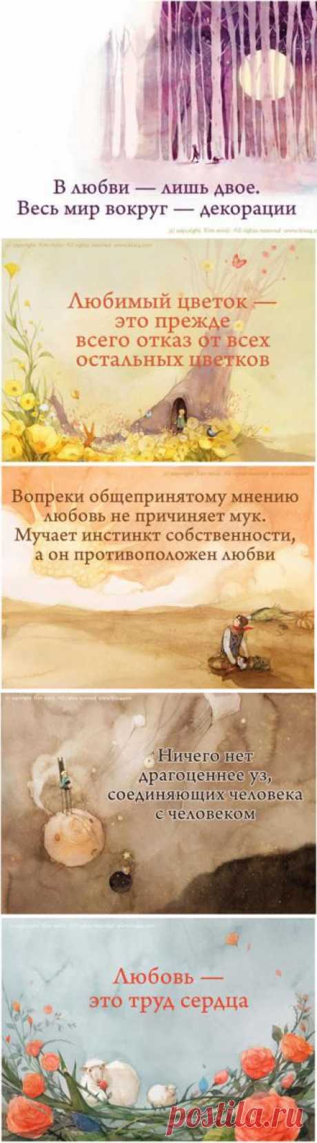 22 цитаты о чувствах Антуана де Сент-Экзюпери | Полезные советы