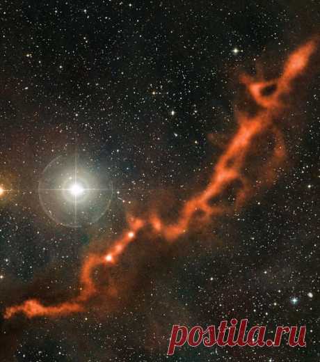 Снимок волокна формирования звезд в Тельце от телескопа APEX  / Интересный космос