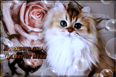 (71) Мой Мир@Mail.Ru