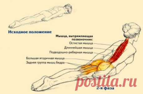 Всего одно упражнение для королевской осанки. Идеально для всех, кто засиживается перед компьютером.