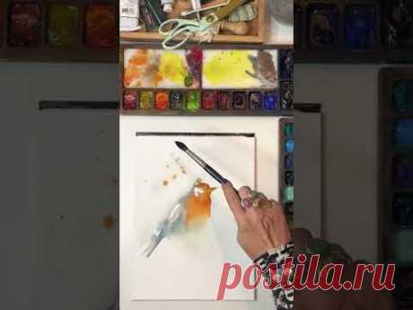 Robin Bird Watercolor Painting Process by CanotStopPainting