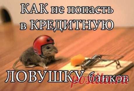Ловушки беспроцентного кредита! » Женский Мир