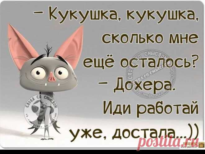 юмор в картинках с надписями до слез про жизнь: 8 тыс изображений найдено в Яндекс.Картинках