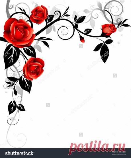 Floral Background Decorative Corner Red Roses Стоковая Иллюстрация 64253281 - Shutterstock