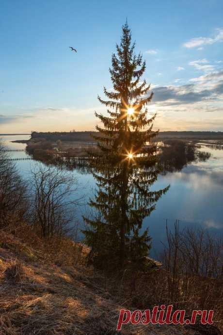 Село Верхняя Тойма, Архангельская область

Фото: Александр Кузнецов