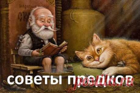 Воду пей перед едой – будешь долго молодой.
Коже рук вернёт былое сок чесночный и алоэ.
Гепатиту гибель дарят корни ревеня в отваре.
Чем старее мужичок, тем важней ему лучок!
Вену видно изнутри – уксус яблочный вотри.
Натощак зуб чеснока – сутки вирус в дураках.
Мёд, лимоны и чеснок одышку пустят наутек.
Съешь лимон и мед, и кашель отойдет.
Мёд с морковью, облепихой язву ног осадят лихо.
Ревматизм, натри и грей соком редьки почерней.
Болят суставы и спина – вотри репейник - семена.
Ар