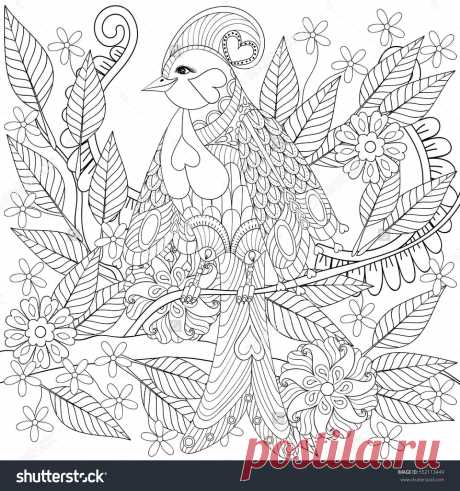 Surprising Idea Exotic Coloring Pages Tropical Zentangle Bird Sitting On Branch With Flowers For Cars Animals Fish - Coloring