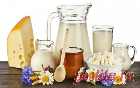 ​Молочные продукты: проверяем качество и правильно храним — Полезные советы