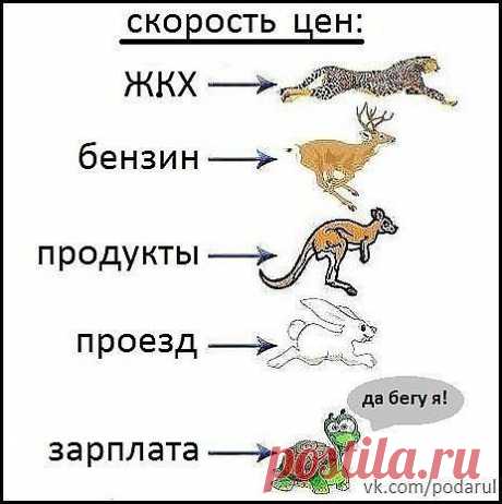 хх