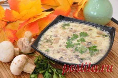 Сырный суп с грибами