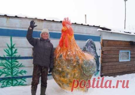 Житель Челябинской области, поселка Ларино Уйского района, из тонны снега слепил петуха у себя в огороде. Оцените творчество.