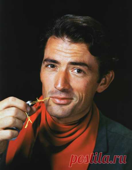 Gregory Peck
.... Publicity portrait photograph for 1946 "Duel In The Sun"